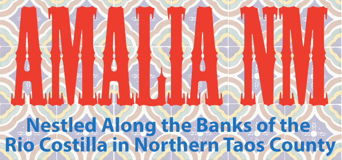 Amalia NM